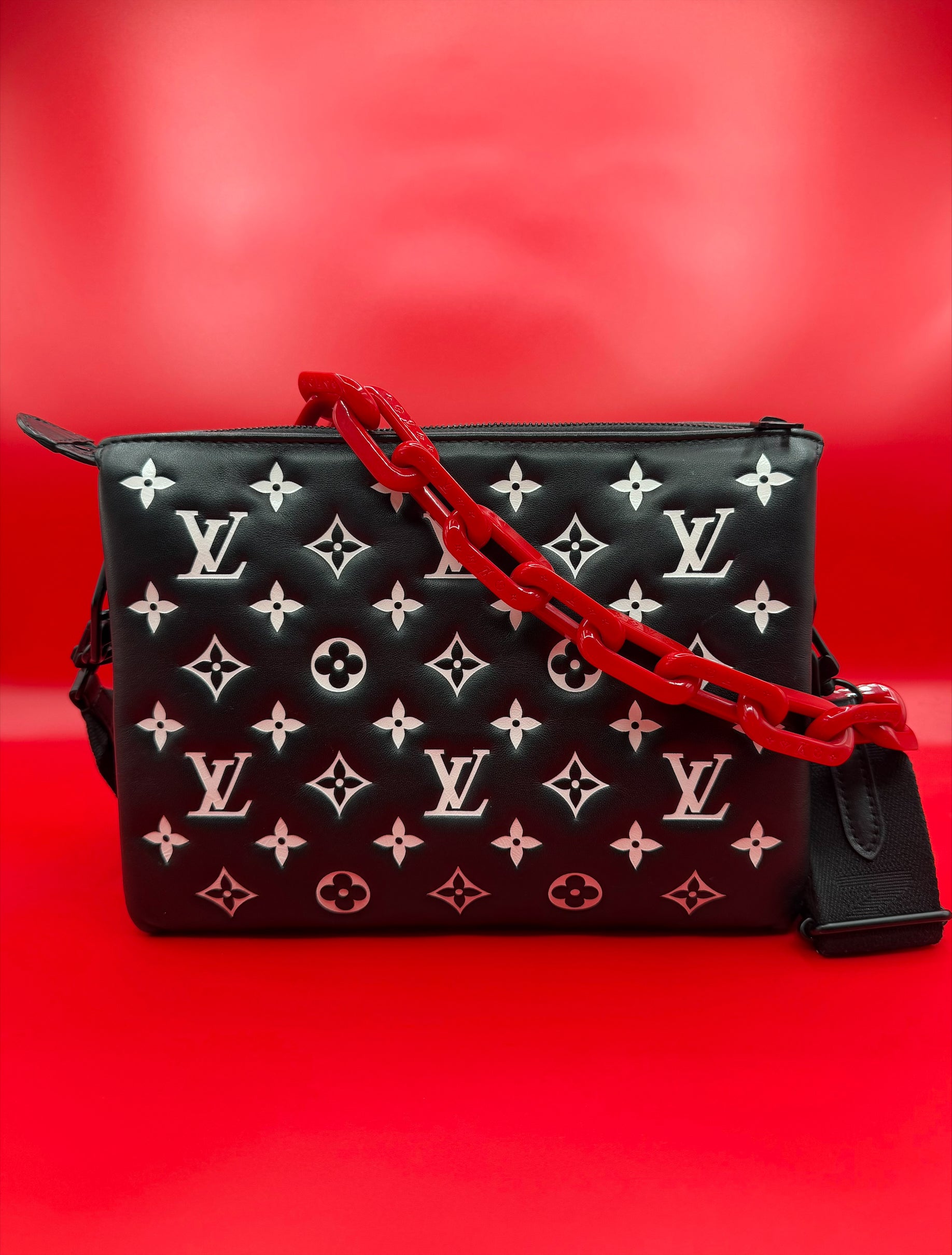 Louis Vuitton Coussin PM/ Coach Bag