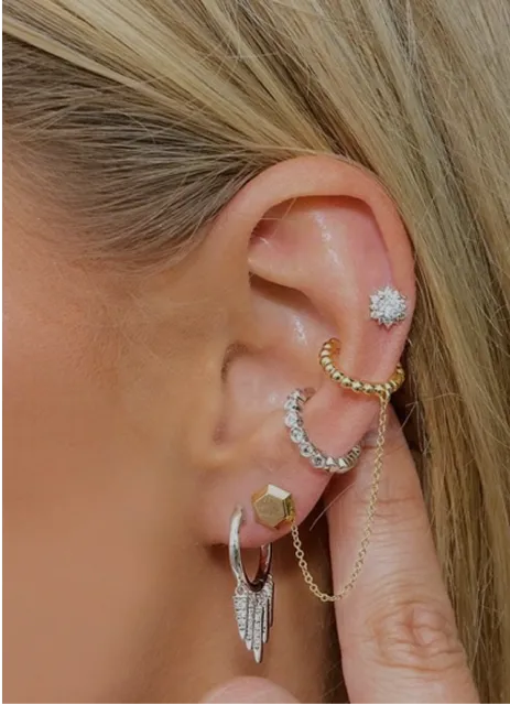 Earrings